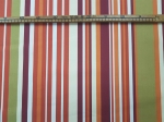 20200905_152153.jpg