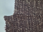20230911_163857.jpg