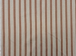 20250403_164848.jpg