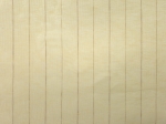 20250422_175412.jpg