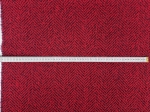 1000029488.jpg