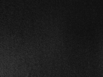 1000033155.jpg