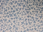 1000040240.jpg
