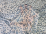 1000040243.jpg