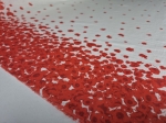 1000040383.jpg