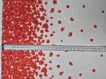 1000040385.jpg