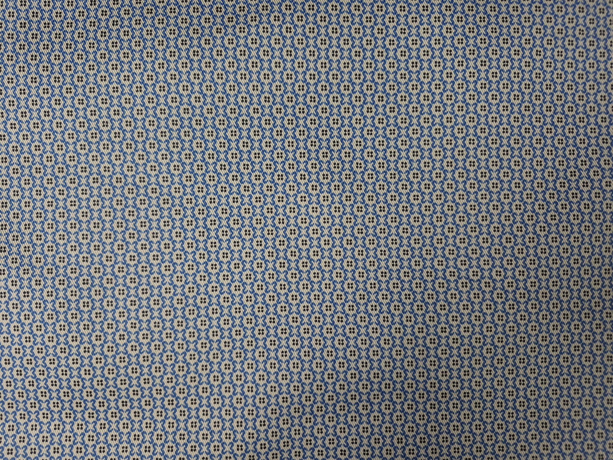 1000037337.jpg